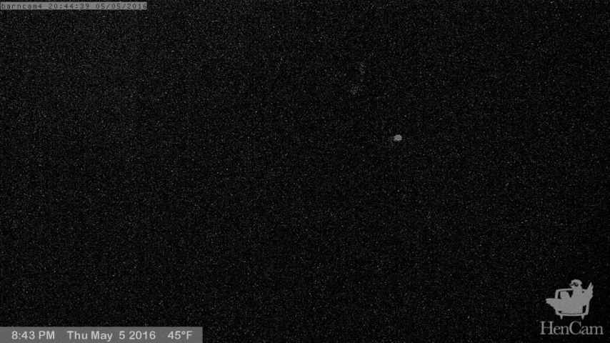 Camera Image