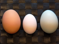 three eggs