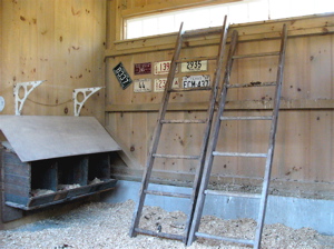 inside hen house