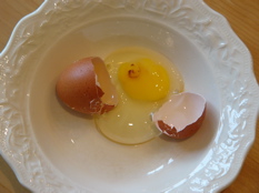 cracked egg