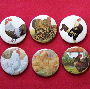 chicken magnets