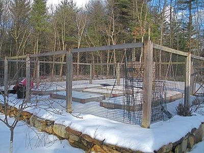 vegetable garden in the snow