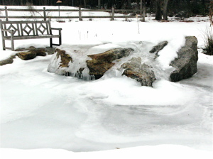 frozen pond