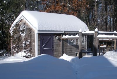 henhouse in snow