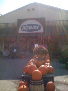 agway