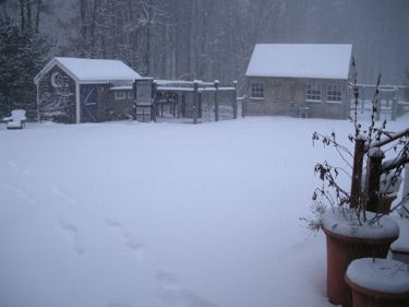 barns in snow