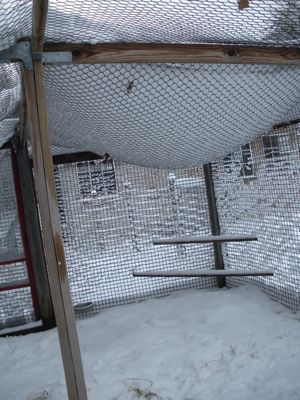 snow on netting