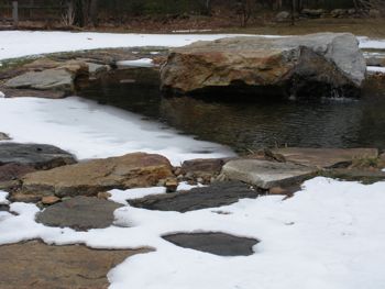 pond ice