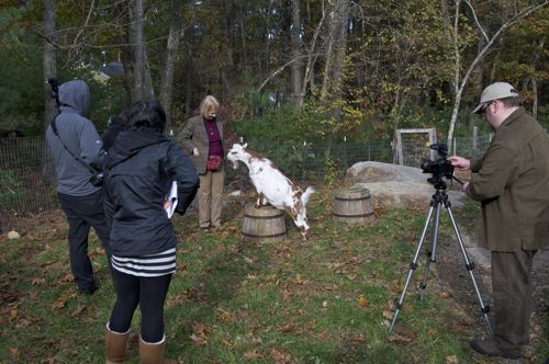 Caper on Barrel